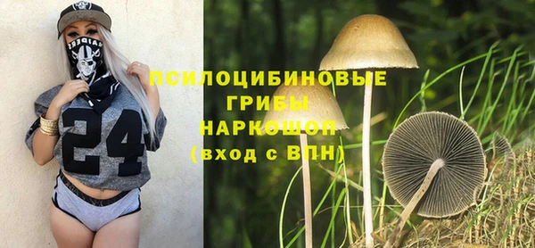 круглые Инсар