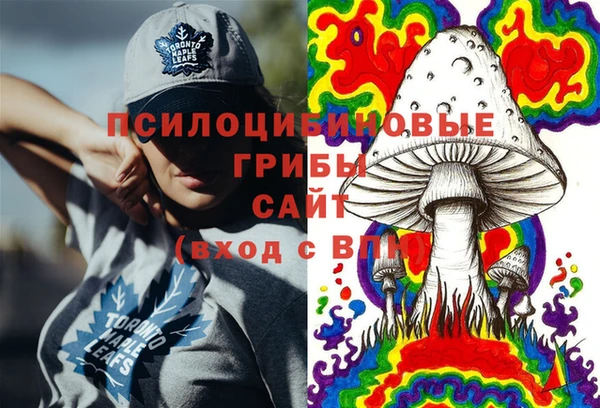круглые Инсар