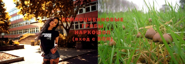 круглые Инсар