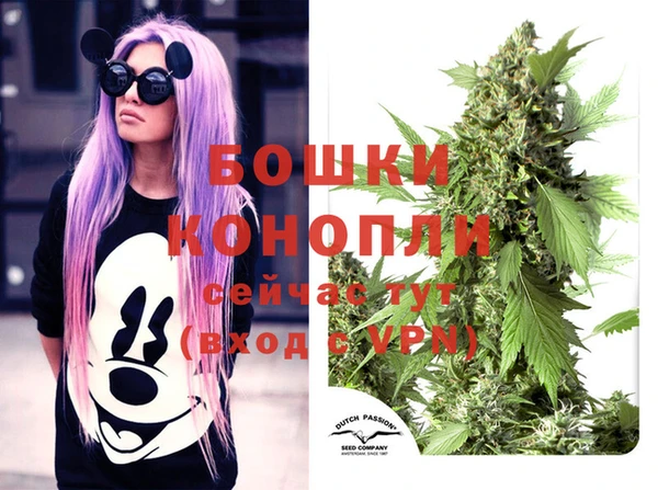 круглые Инсар