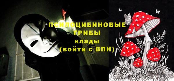 гашик Иннополис