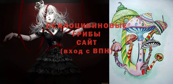 гашик Иннополис