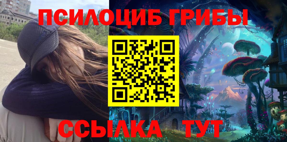 Солнечногорск  Псилоцибиновые грибы Psilocybe  Вход с VPN 